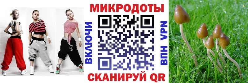 закладка  Елец  ОМГ ОМГ зеркало  Галлюциногенные грибы MAGIC MUSHROOMS 